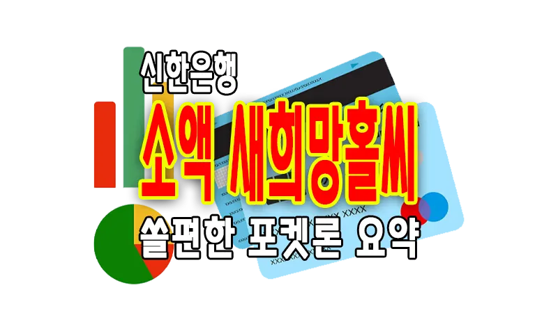 소액 새희망홀씨 신한은행 쏠편한 포켓론 주부 무직자 이용가능 대출자격 한도 금리 1 소액 새희망홀씨 신한은행 쏠편한 포켓론 주부 무직자 이용가능 대출자격 한도 금리